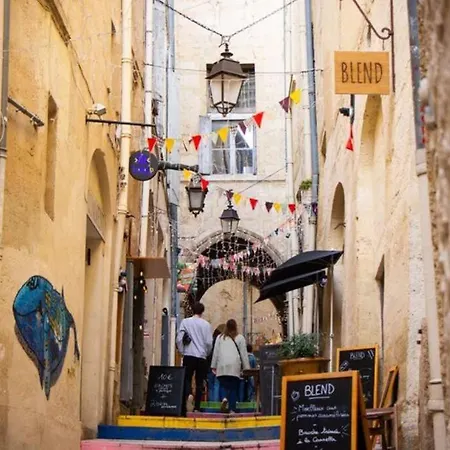 Le Manon, 2chambres,tramway, Parking,wifi,6pers 蒙彼利埃